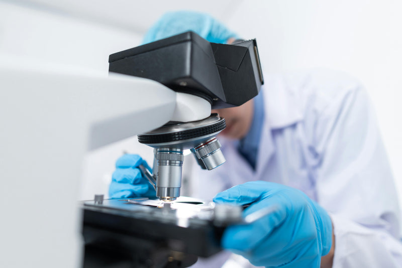 Verrerie de laboratoire de chimie, illustration des procédés d'hydrogénation et d'estérification employés pour fabriquer les dérivés semi-synthétiques du chanvre (HHC, H4CBD, HHCPO)