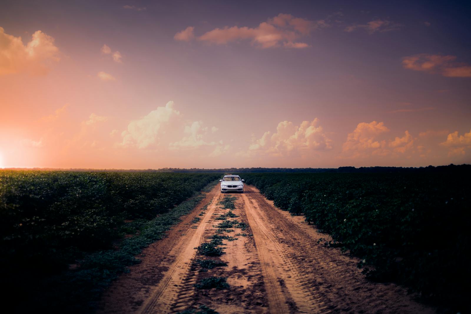 Voiture sur une route de campagne ensoleillée, illustration du guide CBD et conduite en France