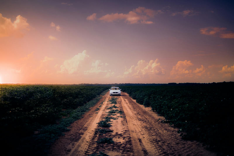 Voiture sur une route de campagne ensoleillée, illustration du guide CBD et conduite en France