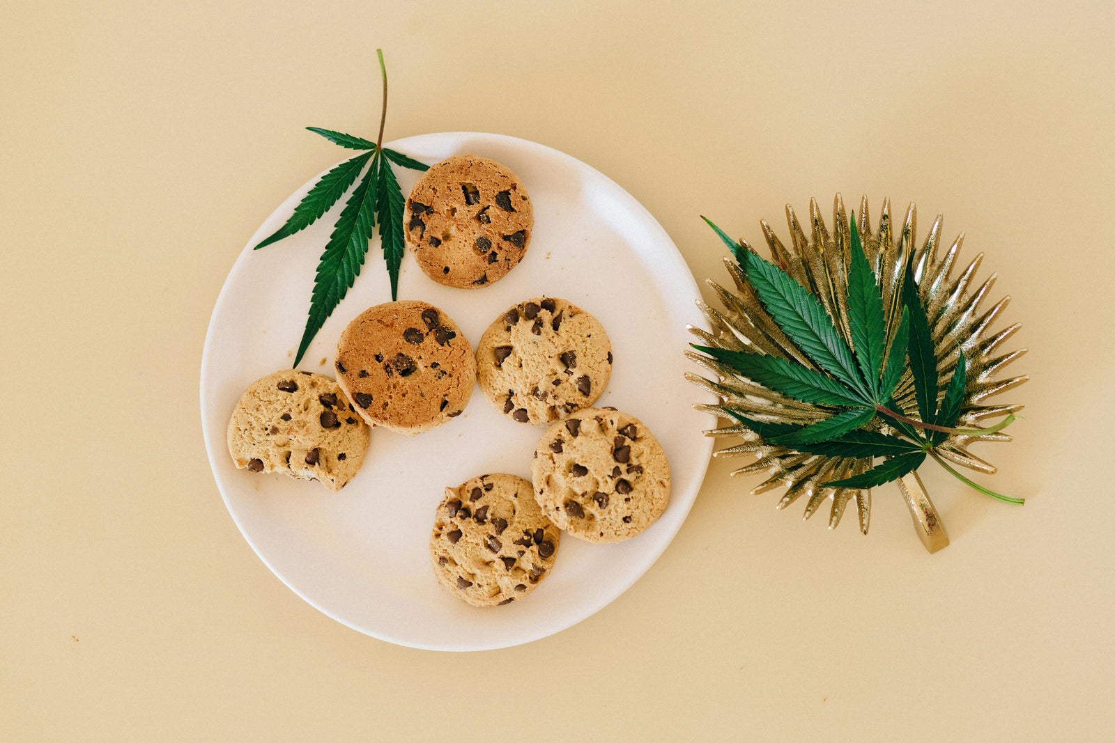 Vue de dessus de cookies aux pépites de chocolat infusés au cannabis sur une assiette en céramique avec feuilles de chanvre — illustration du guide pour cuisiner le CBD à la maison