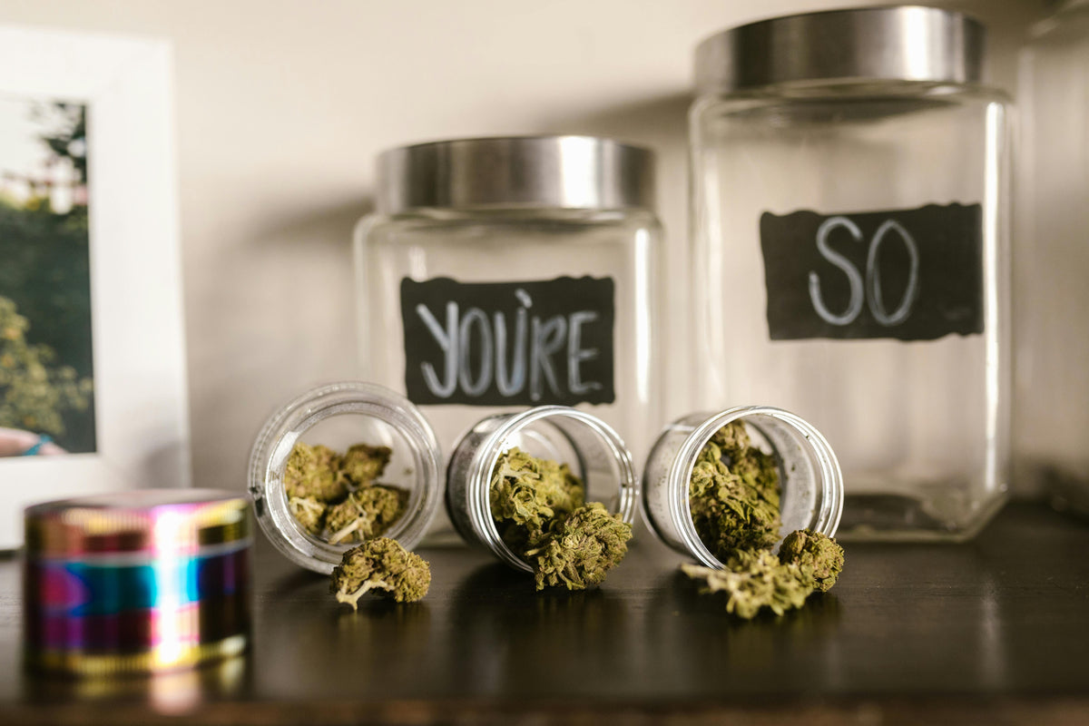 Bocaux en verre remplis de bourgeons de cannabis sur une étagère en bois — illustration du guide de conservation des fleurs et résines CBD