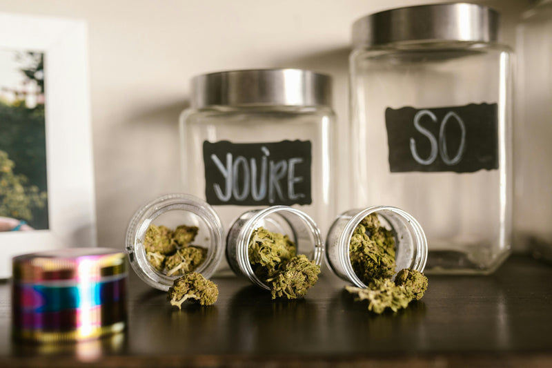 Bocaux en verre remplis de bourgeons de cannabis sur une étagère en bois — illustration du guide de conservation des fleurs et résines CBD