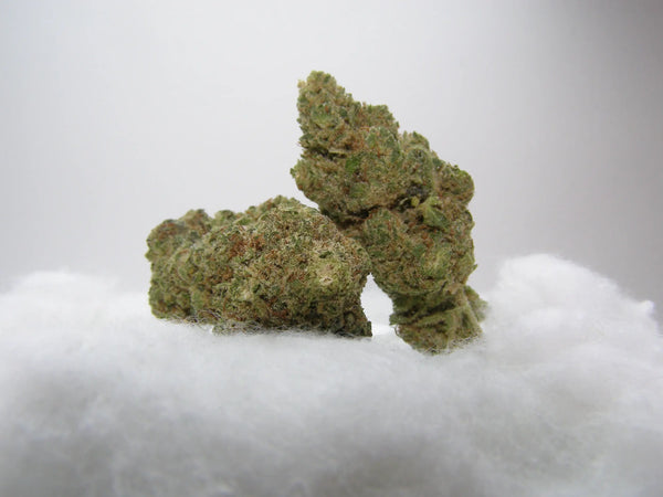Fleurs de CBD Bubble Gum indoor aux arômes sucrés, fruités et bonbon