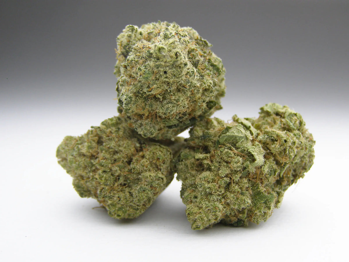 Northern Lights