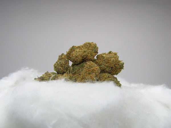 MAC Small Bud