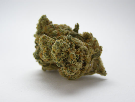 Gros plan sur Amnesia US CBD aux arômes citriques, fruités et sucrés