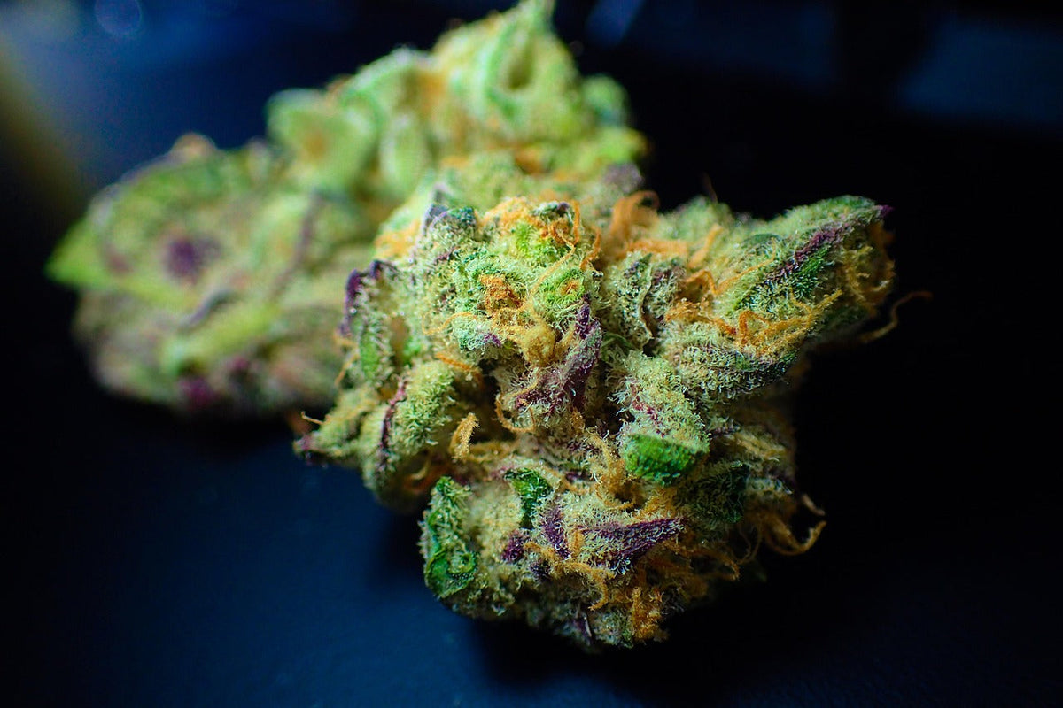 Macro de fleur de CBD - les trichômes contiennent les terpènes responsables de l'arôme