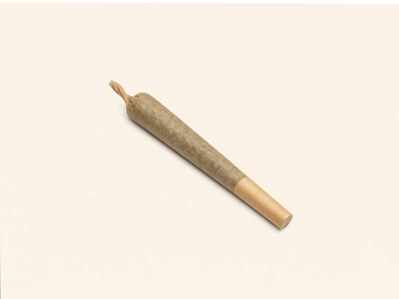 Joint CBD pré-roulé Cloud Store CBD, fleur seule sans tabac ni nicotine, photographié sur fond crème