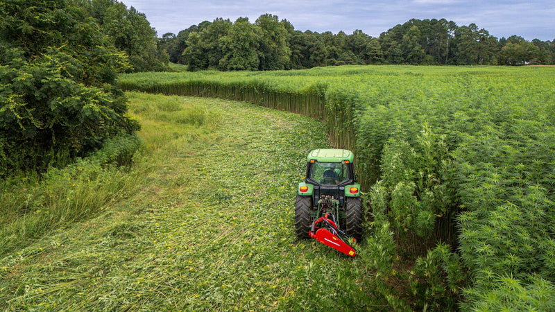 Champ de chanvre industriel cultivé en France, vue aérienne avec tracteur en activité - illustration de la filière chanvre française premier producteur européen