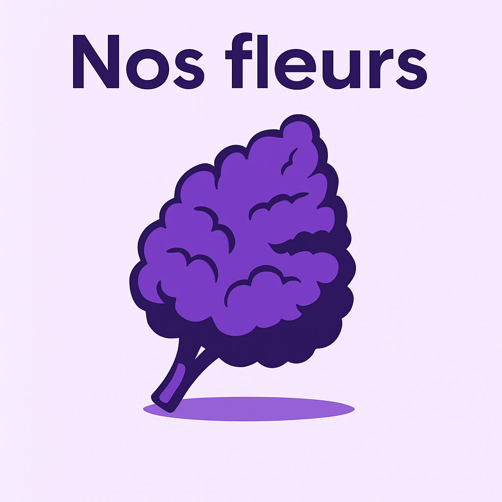 Toutes nos fleurs