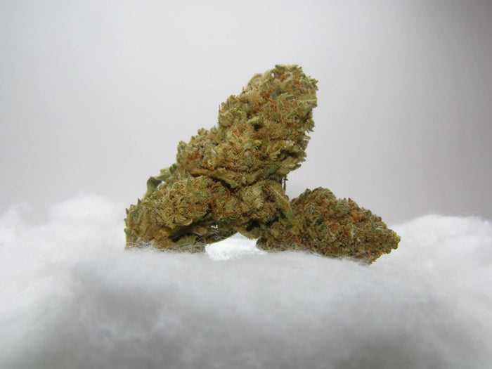 Citrus Kush