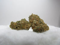 Fleurs de CBD Rainbow x GP3 indoor hydroponie aux arômes fruités, tropicaux et sucrés