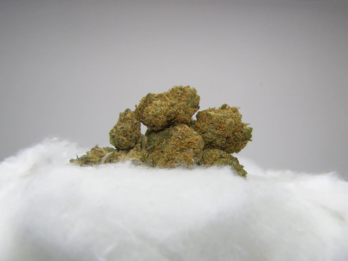 MAC Small Bud