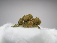 MAC Small Bud