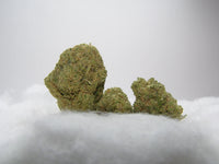 Fleurs de CBD Snow OG indoor hydroponie aux arômes skunky, boisés et terreux