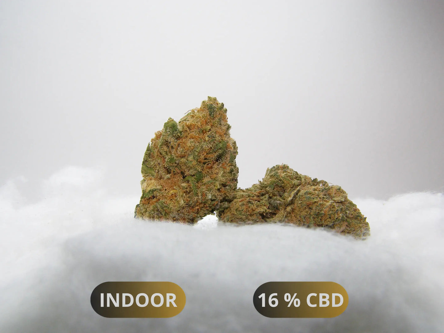 Sour Diesel CBD Indoor Hydroponie 🔥 : arômes diesel, épicé & noisette, touche aigre/musquée. CBD ~16 %, THC ≤ 0,3 %. Sélection premium Cloud Store CBD.