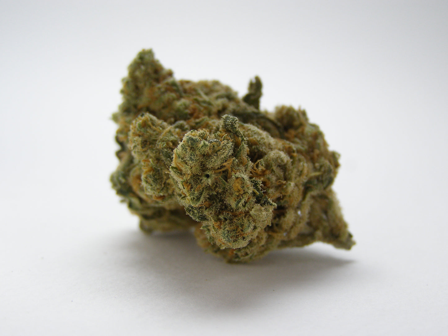 Gros plan sur Amnesia US CBD aux arômes citriques, fruités et sucrés