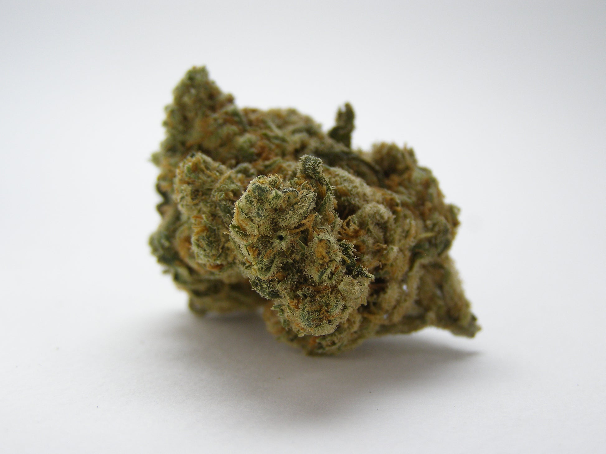 Gros plan sur Amnesia US CBD aux arômes citriques, fruités et sucrés