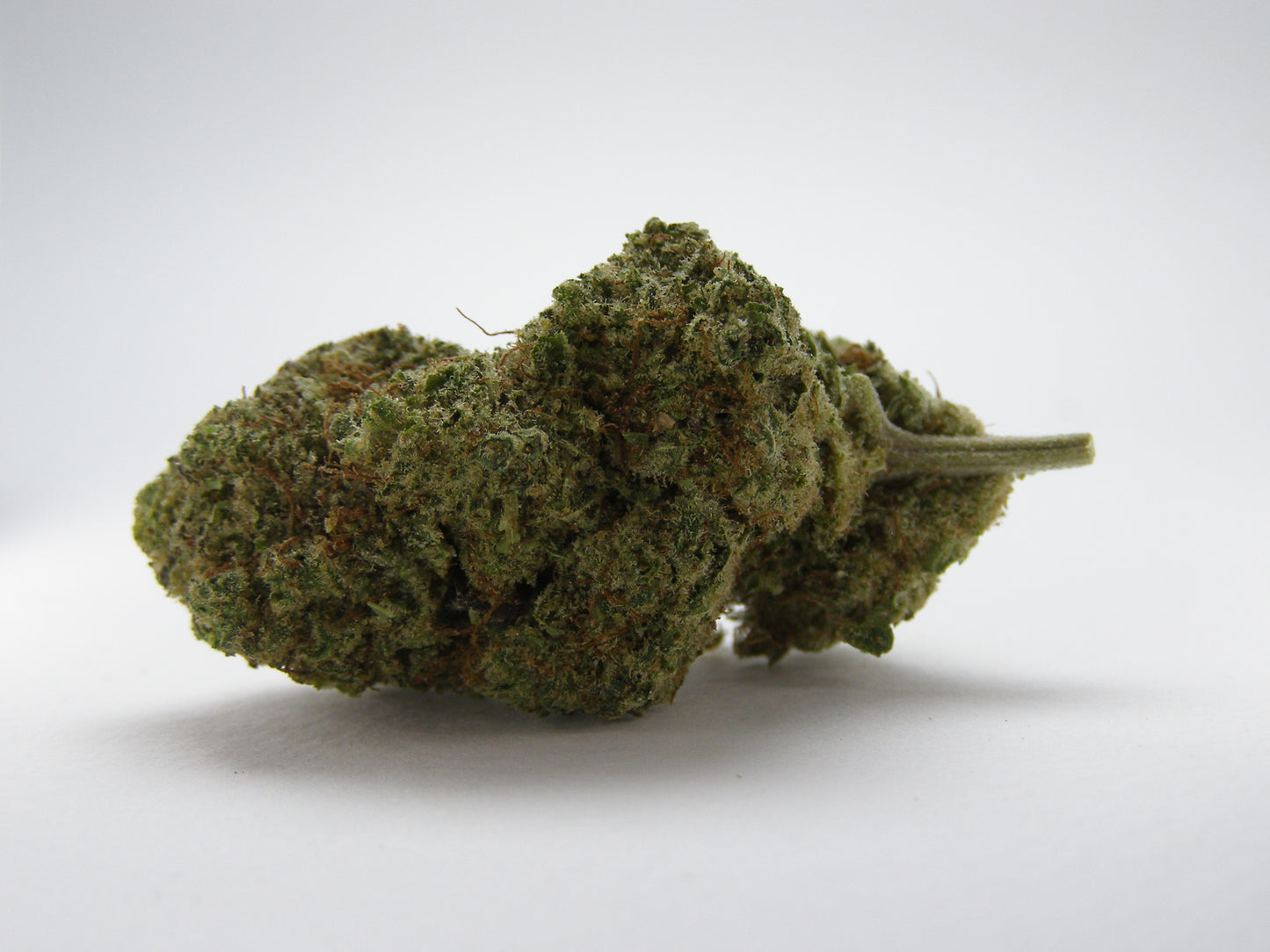 Gros plan sur Bubble Gum CBD au profil bonbon sucré et crémeux