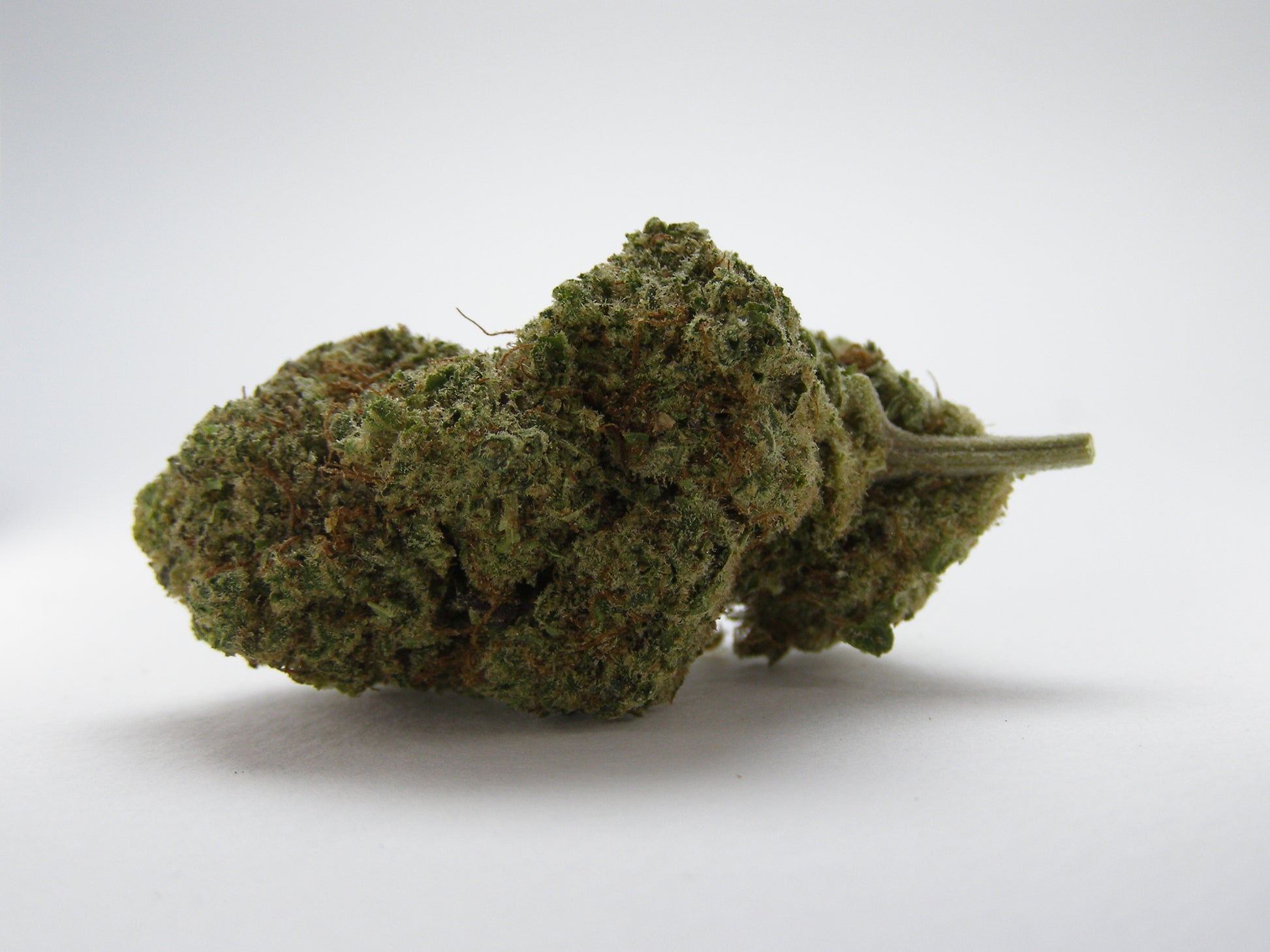 Gros plan sur Bubble Gum CBD au profil bonbon sucré et crémeux