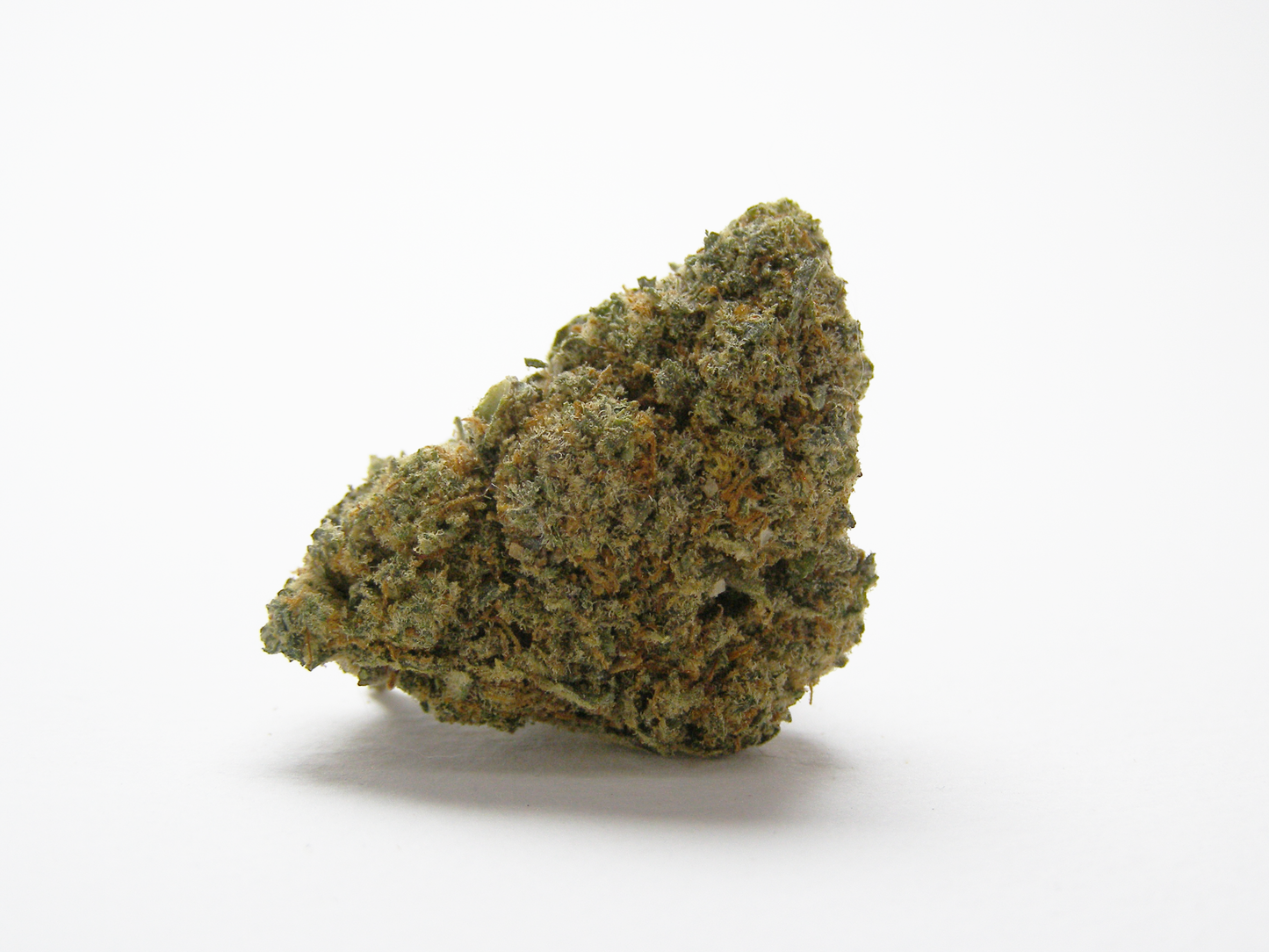 Gros plan sur les fleurs Citrus Kush CBD aux arômes sucrés et agrumes