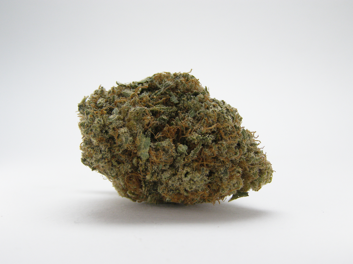 Gros plan sur Kosher Kush CBD aux arômes kush, végétal, citron amer et pin