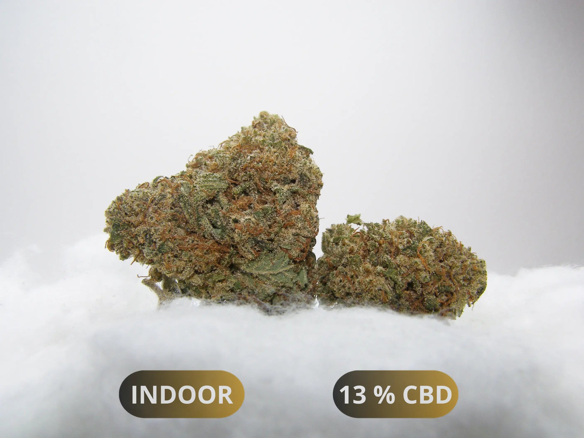Fleurs Kosher Kush CBD Indoor Hydroponie – buds denses au profil kush