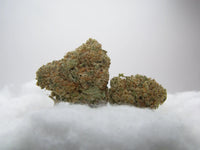 hydroponieFleurs Kosher Kush CBD Indoor Hydroponie – buds denses au profil kush