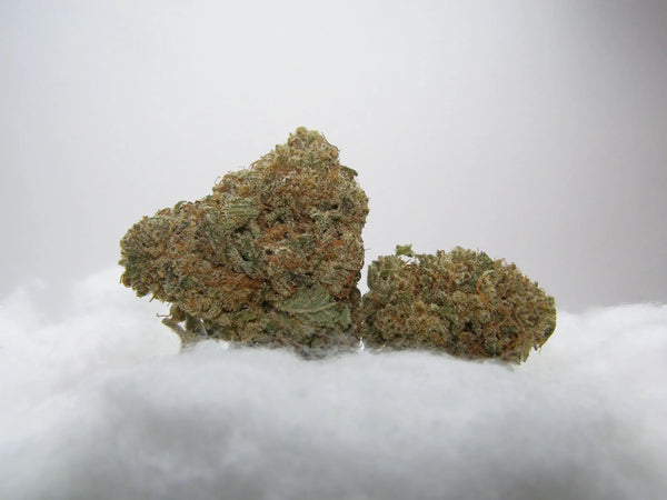 hydroponieFleurs Kosher Kush CBD Indoor Hydroponie – buds denses au profil kush