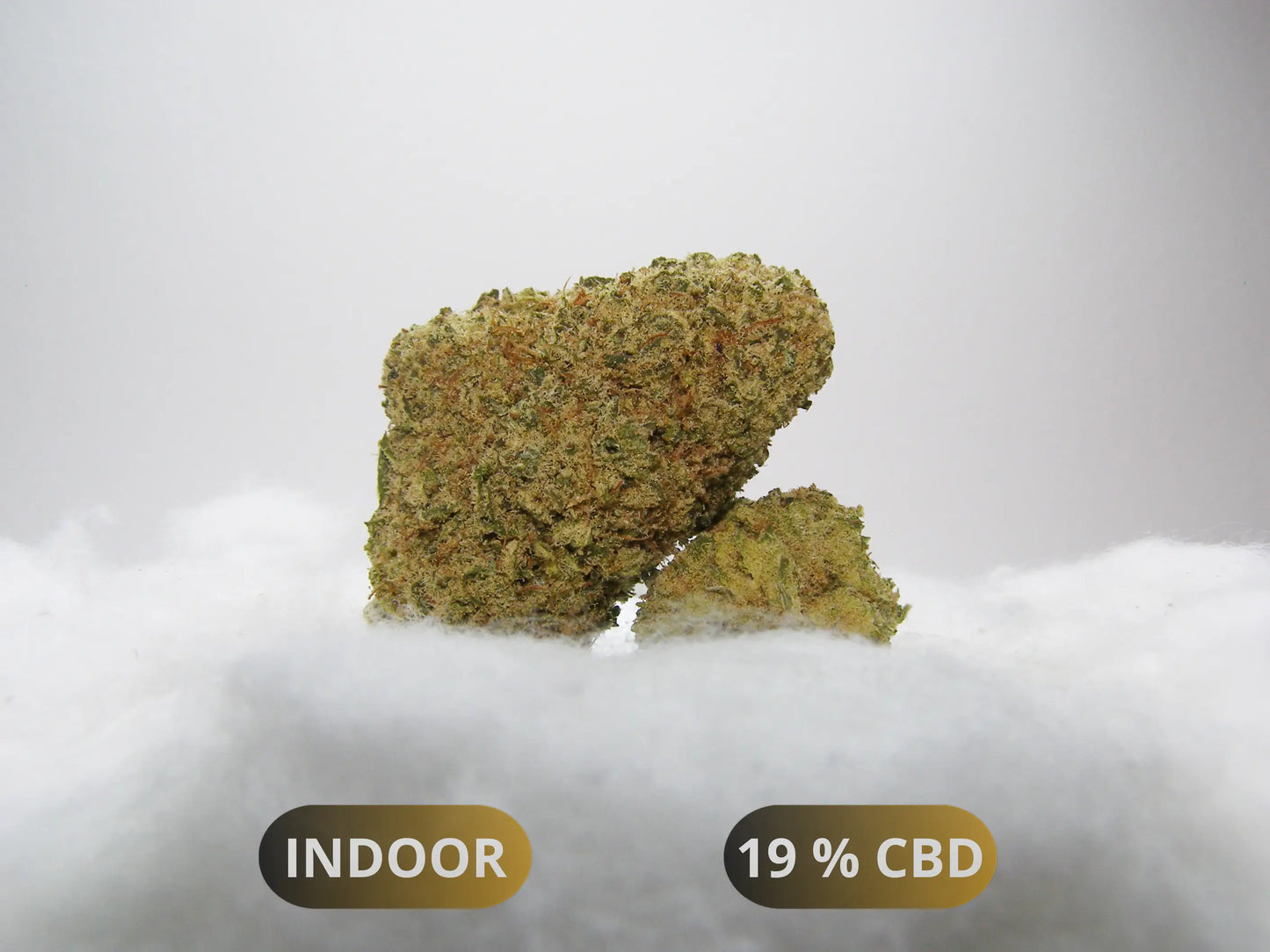 Fleurs M.A.C LAC CBD Indoor Hydroponie – buds denses compactes manucure premium