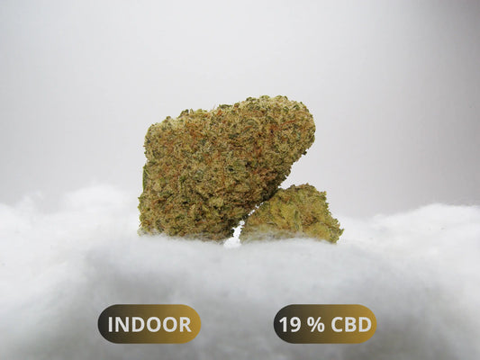 Fleurs M.A.C LAC CBD Indoor Hydroponie – buds denses compactes manucure premium