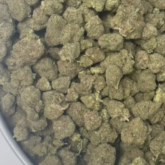 Miracle Alien Cookies M.A.C CBD indoor hydroponie