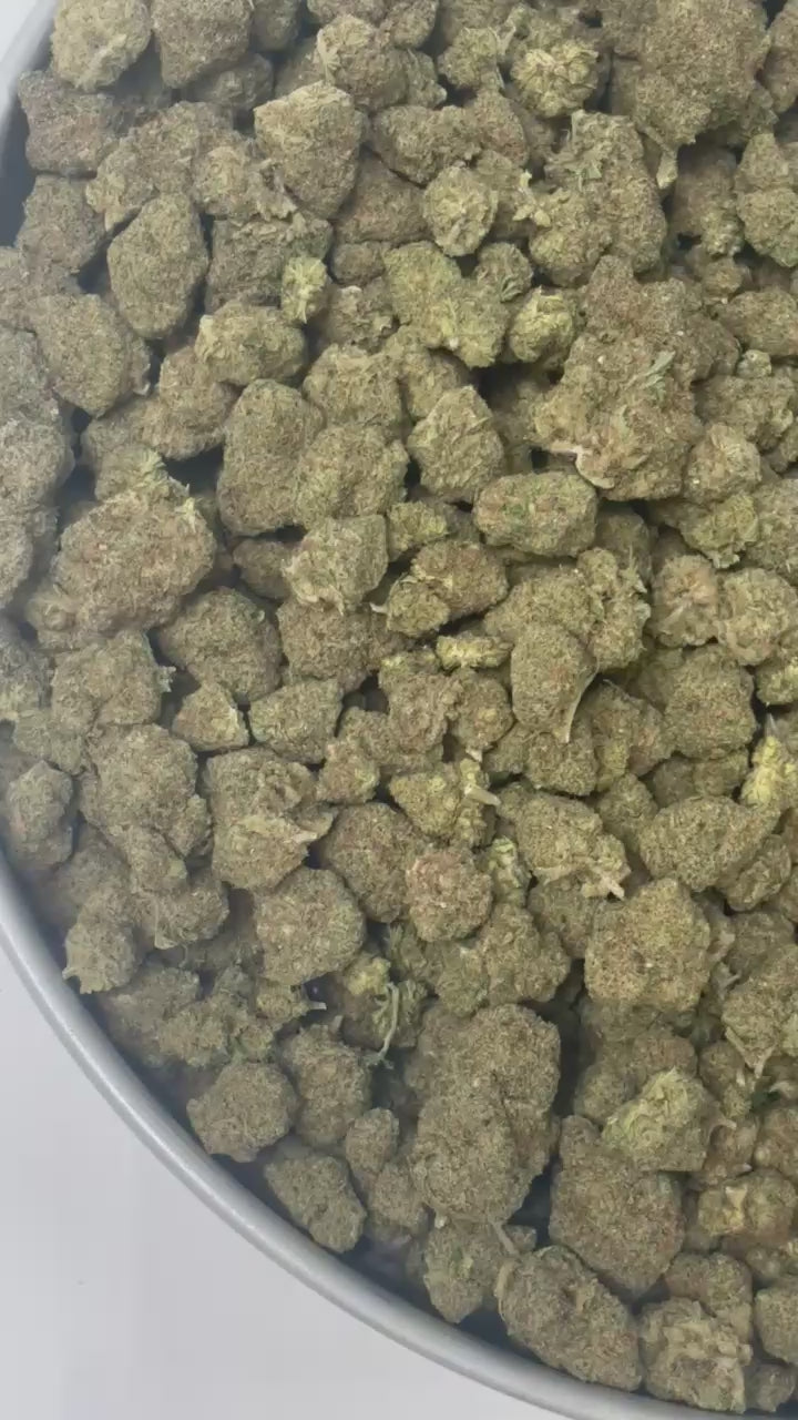 Miracle Alien Cookies M.A.C CBD indoor hydroponie