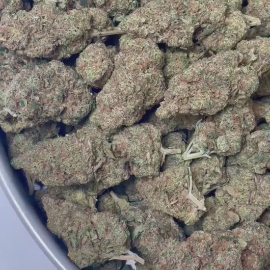 Rainbow x GP3 CBD - Variété indoor France