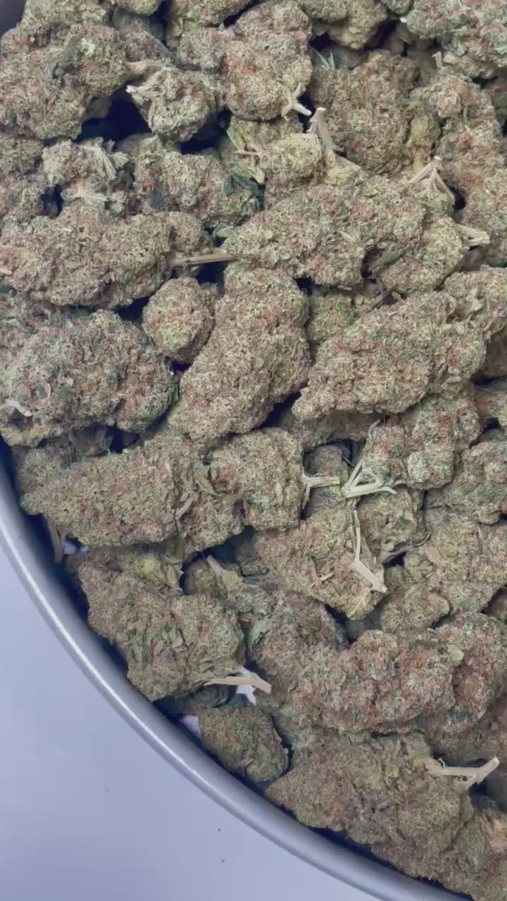Rainbow x GP3 CBD - Variété indoor France