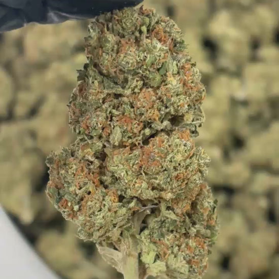 Zoom trichomes Strawberry Diesel CBD indoor premium