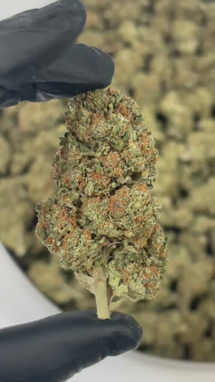 Zoom trichomes Strawberry Diesel CBD indoor premium