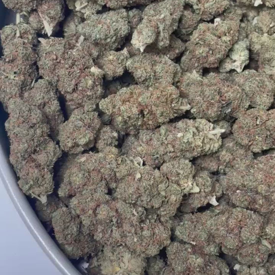 Détail Blue Gelato CBD - Profil aromatique fruité