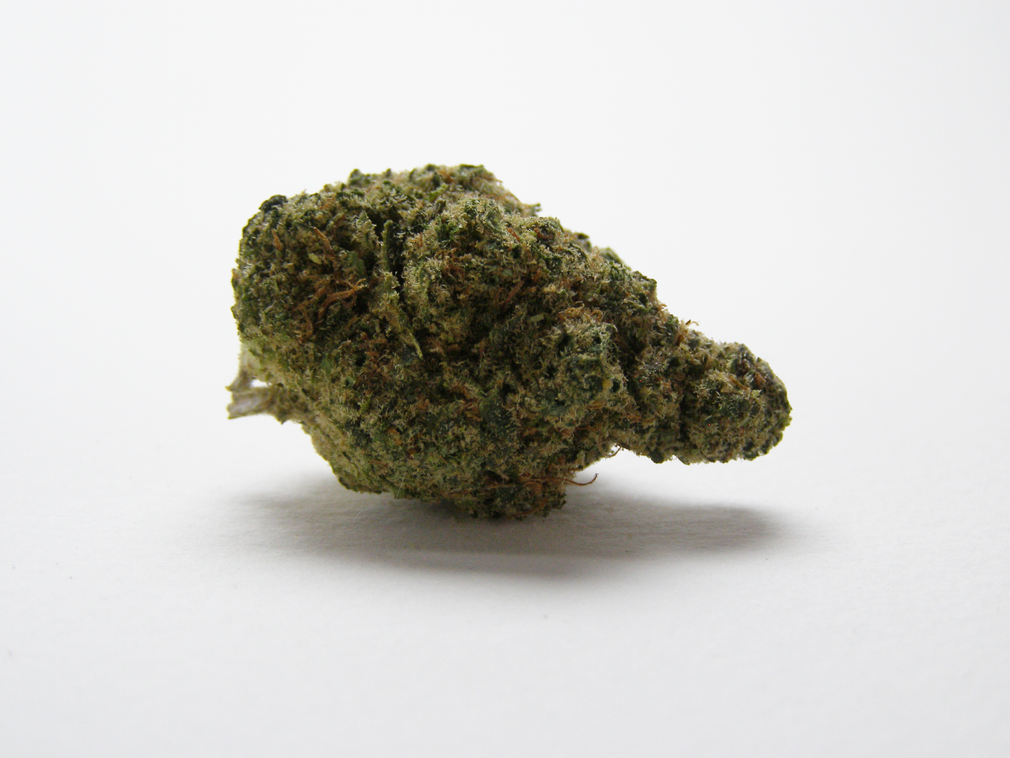 Gros plan sur Rainbow x GP3 CBD aux arômes fruités, bonbon sucré et pin