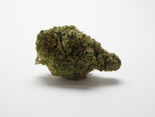 Gros plan sur Rainbow x GP3 CBD aux arômes fruités, bonbon sucré et pin