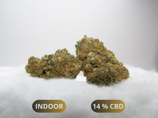 Fleurs Rainbow x GP3 CBD Indoor Hydroponie – buds denses fruités et tropicaux