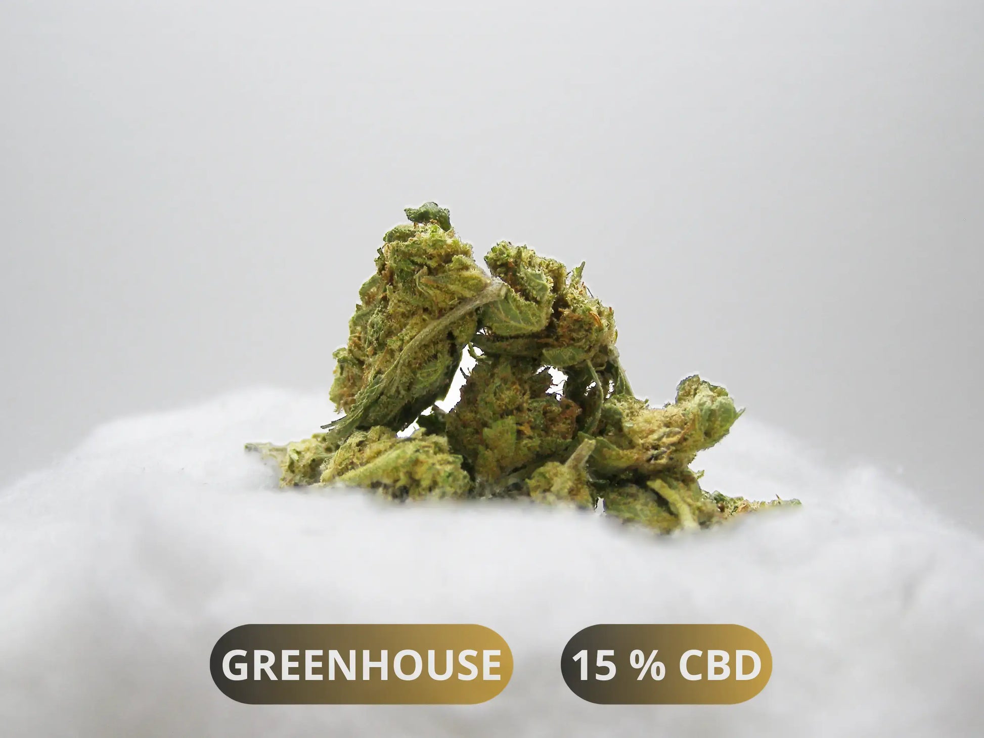 Small Buds HQCT CBD greenhouse française - 1€/g