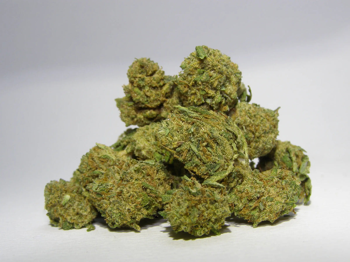 SMALL BUD CRITICAL 2.0