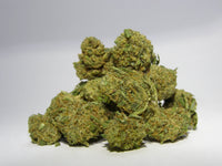 SMALL BUD CRITICAL 2.0