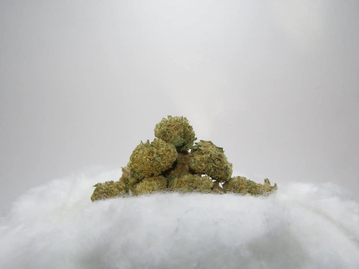 Small Buds Critical CBD indoor aux arômes terreux, boisés et légèrement épicés
