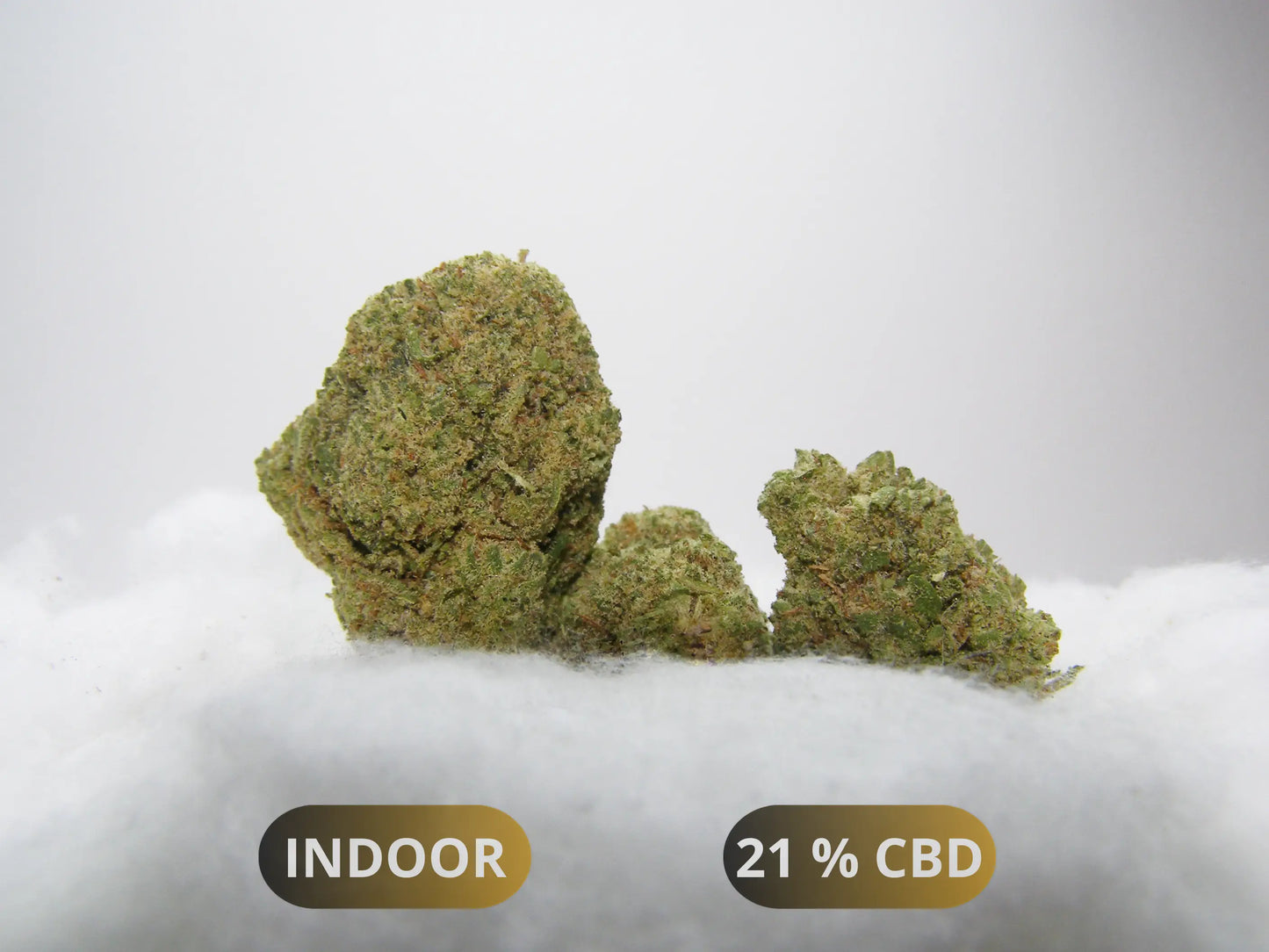 Fleurs Snow OG CBD Indoor Hydroponie – gros buds denses clairs et violacés