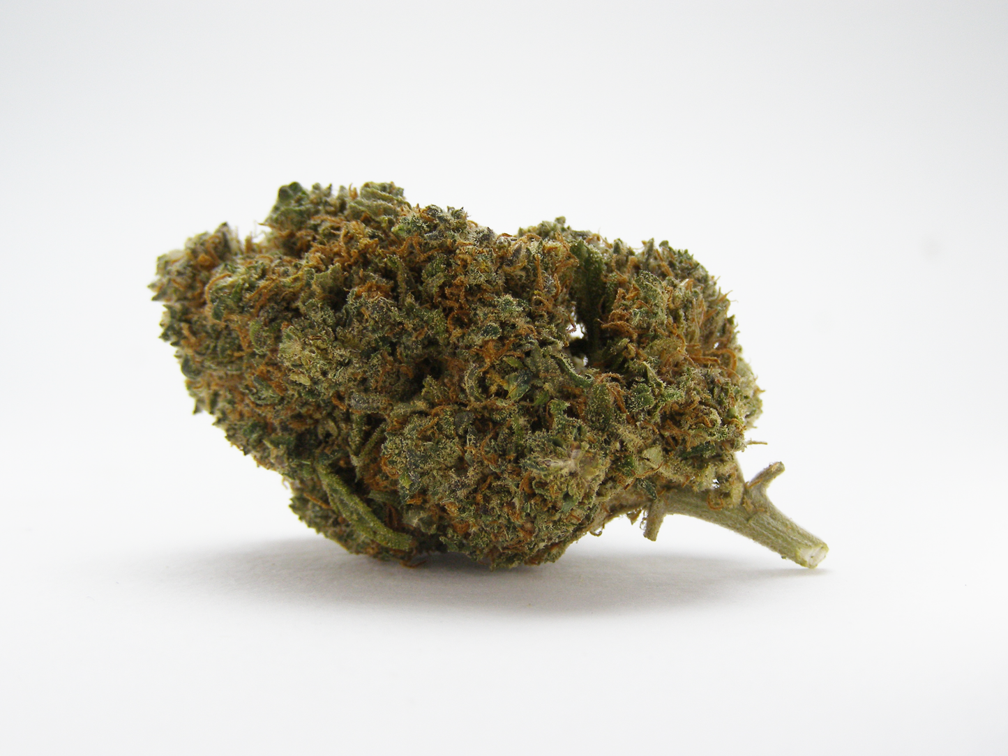 Gros plan sur Strawberry Diesel CBD aux arômes fruits rouges et diesel