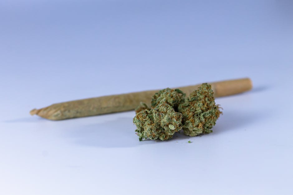 Joints CBD pré-roulés